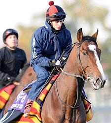 Workforce Retired; Will Stand in Japan Workforce Retired; Will Stand in Japan