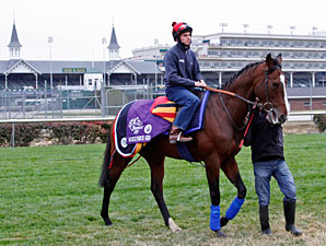 Stoute Satisfied with Churchill Turf Course Stoute Satisfied with Churchill Turf Course