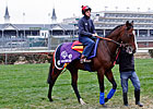 Stoute Satisfied with Churchill Turf Course