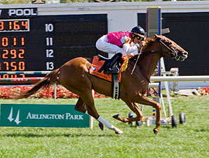 Workin for Hops Uncorks American Derby Win Workin for Hops Uncorks American Derby Win