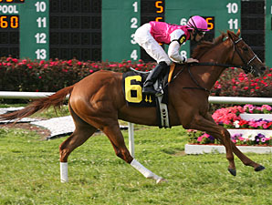 'Hops' Favored For Hanshin Cup 'Hops' Favored For Hanshin Cup