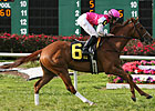 'Hops' Favored For Hanshin Cup 'Hops' Favored For Hanshin Cup
