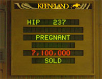 With 6 Days Left, Keeneland Sale Tops 2002 Total With 6 Days Left, Keeneland Sale Tops 2002 Total