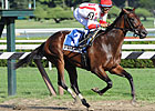 All Goes Well for Worstcasescenario at Spa All Goes Well for Worstcasescenario at Spa