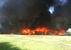 19 Horses Die in Louisiana Barn Fire