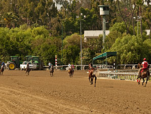 Wrong-Way Horse Voids Santa Anita Maiden Tilt Wrong-Way Horse Voids Santa Anita Maiden Tilt