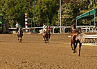 Wrong-Way Horse Voids Santa Anita Maiden Tilt Wrong-Way Horse Voids Santa Anita Maiden Tilt