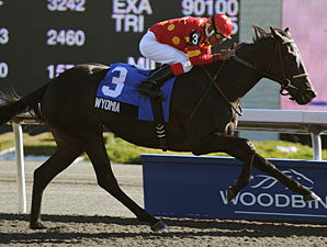 Wyomia Runs Away With Mazarine Stakes Wyomia Runs Away With Mazarine Stakes