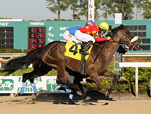 Wyomia Headlines Black-Eyed Susan Stakes Wyomia Headlines Black-Eyed Susan Stakes
