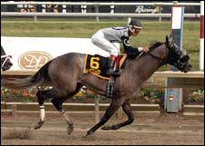 Xchanger Finds Winning Formula in Barbaro Xchanger Finds Winning Formula in Barbaro
