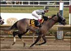 Xchanger Finds Winning Formula in Barbaro
