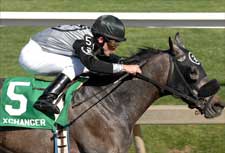 Maryland-Based Xchanger Likely for Derby Maryland-Based Xchanger Likely for Derby