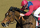 Begin, Dam of Xtra Heat, Dead Begin, Dam of Xtra Heat, Dead