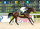 Yahilwa, Tiz Midnight Clash in Bayakoa Stakes Yahilwa, Tiz Midnight Clash in Bayakoa Stakes