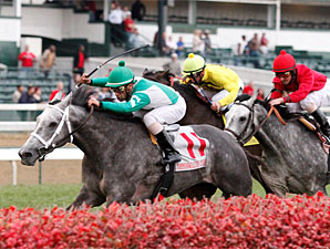 Yankee Fourtune Makes it 5 Straight on Turf Yankee Fourtune Makes it 5 Straight on Turf