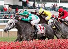 Yankee Fourtune Makes it 5 Straight on Turf Yankee Fourtune Makes it 5 Straight on Turf