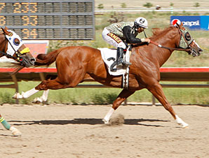Yavapai Fighting to Protect Meet Yavapai Fighting to Protect Meet