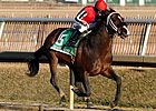 Dutrow Duo Tops in General George Dutrow Duo Tops in General George