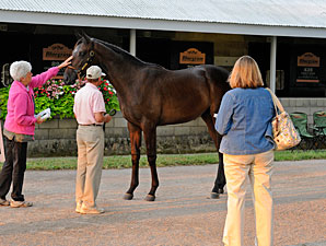 Sale Yearling Forum Held by Rood & Riddle Sale Yearling Forum Held by Rood & Riddle