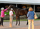 Sale Yearling Forum Held by Rood & Riddle Sale Yearling Forum Held by Rood & Riddle