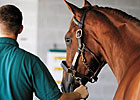 Leading Yearling Sales by Racing Performance Leading Yearling Sales by Racing Performance