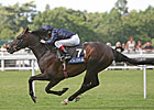Yeats Makes History in Gold Cup Yeats Makes History in Gold Cup
