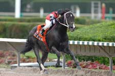 Yes He's the Man Wires Spend a Buck Field Yes He's the Man Wires Spend a Buck Field