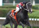 Yes He's the Man Wires Spend a Buck Field Yes He's the Man Wires Spend a Buck Field