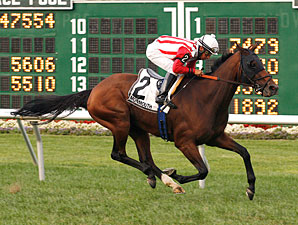 Yummy With Butter Wins Again on Monmouth Turf Yummy With Butter Wins Again on Monmouth Turf