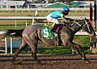 Z Fortune Moves up in LeComte