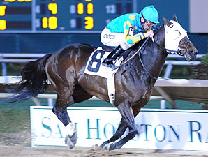 No Catching Z Humor in Maxxam Gold Cup No Catching Z Humor in Maxxam Gold Cup