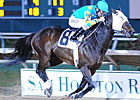 No Catching Z Humor in Maxxam Gold Cup No Catching Z Humor in Maxxam Gold Cup