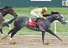 Z Rockstar Favored in Oklahoma Classics Cup Z Rockstar Favored in Oklahoma Classics Cup