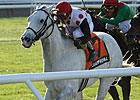 Za Approval Aims for Knickerbocker Repeat Za Approval Aims for Knickerbocker Repeat