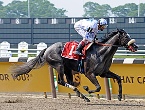 Zaftig Zooms, 'Blessing' Second in Acorn Zaftig Zooms, 'Blessing' Second in Acorn