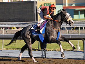 Zaftig Brings $1.4 Million at F-T Nov. Sale Zaftig Brings $1.4 Million at F-T Nov. Sale