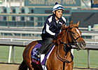 Brown Confident with Zagora in F&M Turf