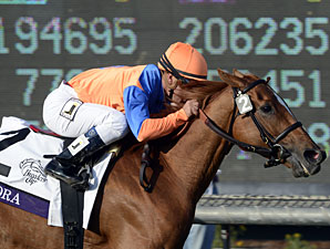 Zagora Named Champion Female Turf Horse Zagora Named Champion Female Turf Horse