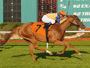 Zagora Primed for Jenny Wiley Zagora Primed for Jenny Wiley