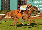 Zagora Primed for Jenny Wiley 