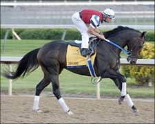 Curlin, Zanjero Work for Asmussen as Derby Week Kicks Off Curlin, Zanjero Work for Asmussen as Derby Week Kicks Off