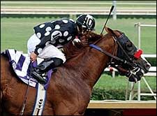 One Less Obstacle for Bwana Bull in Pegasus Stakes One Less Obstacle for Bwana Bull in Pegasus Stakes