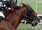 One Less Obstacle for Bwana Bull in Pegasus Stakes 