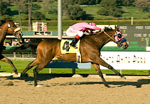 Zappa Just Peachy in San Pasqual H. Zappa Just Peachy in San Pasqual H.