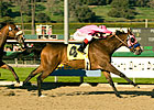 Zappa Just Peachy in San Pasqual H. Zappa Just Peachy in San Pasqual H.