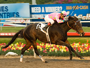 Zardana Zeroes In, Tallies Bayakoa Upset Zardana Zeroes In, Tallies Bayakoa Upset