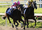 Triple Crown Talk: The Weekend Roundup Triple Crown Talk: The Weekend Roundup