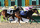 Zardana, Upset Rachel Alexandra, Retired Zardana, Upset Rachel Alexandra, Retired