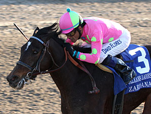 Zardana Takes Up Shirreffs' Quest in Bayakoa Zardana Takes Up Shirreffs' Quest in Bayakoa
