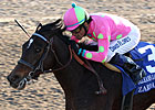 Zardana Takes Up Shirreffs' Quest in Bayakoa
